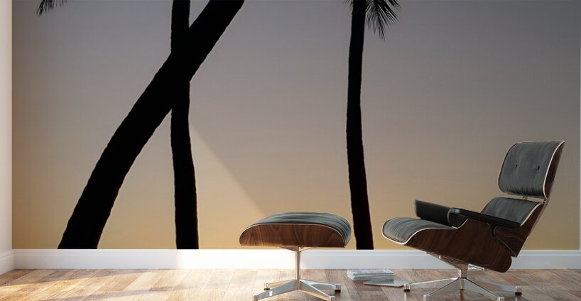 Florida Keys Sunrise & Palms 1 Wall Murals