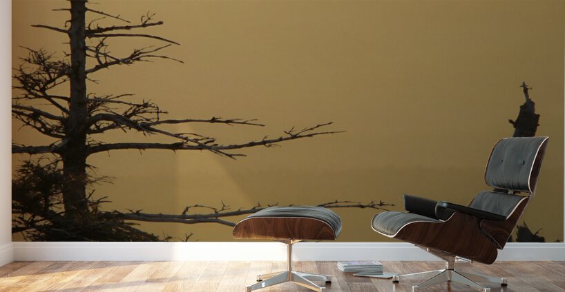 Golden Sunrise Wall Murals