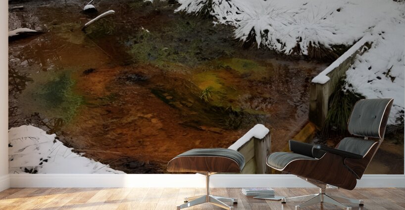 Reitz  2 Lower AMD Wall Murals