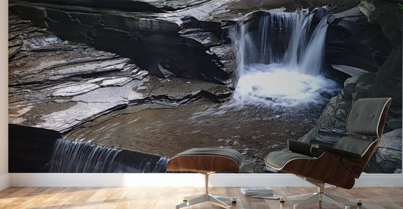 Watkins Glen State Park 1 Wall Murals