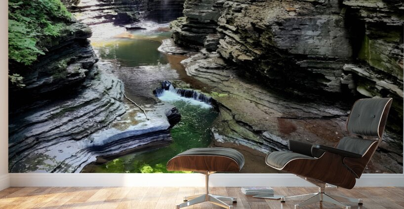 Watkins Glen State Park Wall Murals