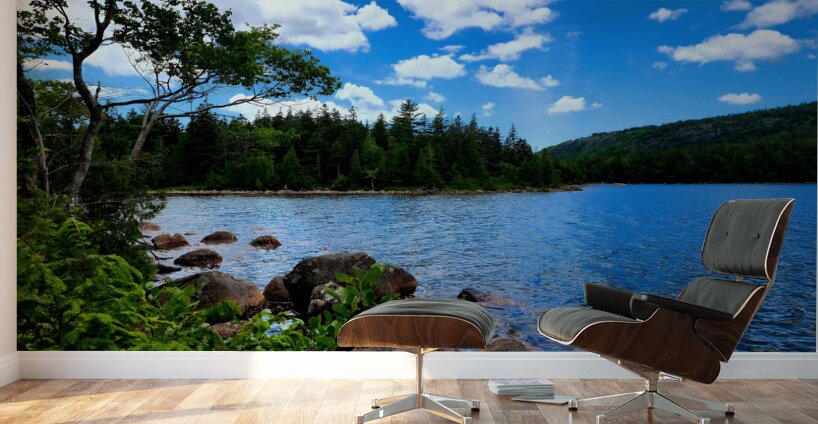 Acadia Landscape Wall Murals