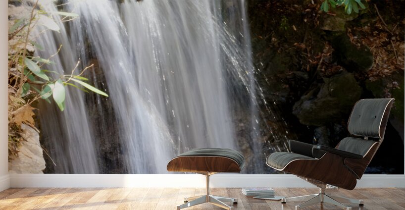Waterfall Wall Murals