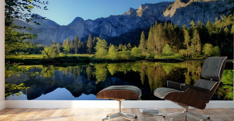 Yosemite Morning Wall Murals