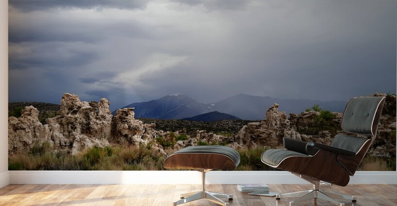 Rainstorm At Mono Lake Wall Murals