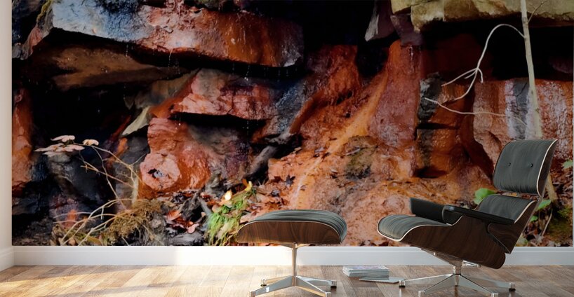 Iron Oxide Melt Wall Murals