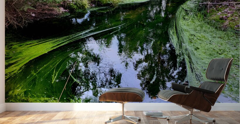 Reitz  2 AMD Wall Murals