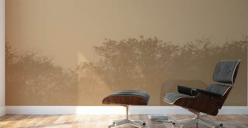 Misty Morning Grazing Wall Murals