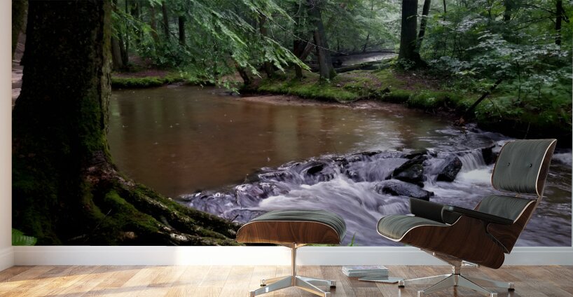 Hemlock Stream Wall Murals