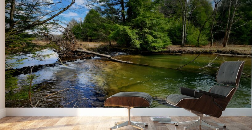 Spring At Clear Shade Creek Wall Murals