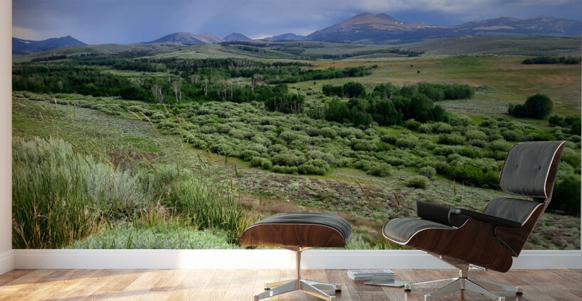 Sierra Nevada Wall Murals