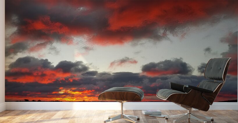 Commuting Sunrise Wall Murals