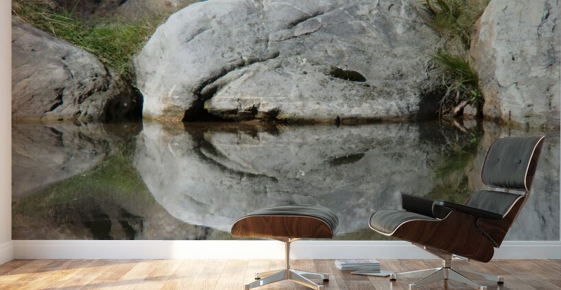 Rock Smile Wall Murals