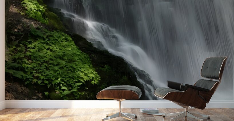 Bushkill Falls Wall Murals