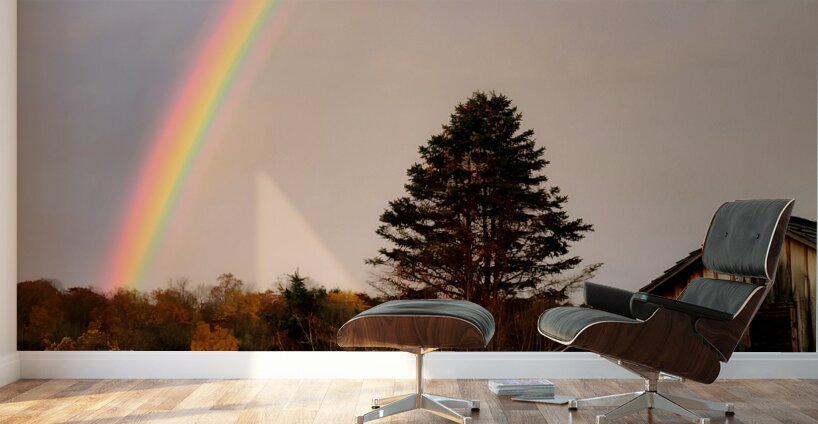 Morning Rainbow Over Barn Wall Murals
