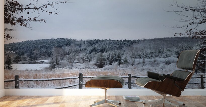 Laurel Ridge Wall Murals