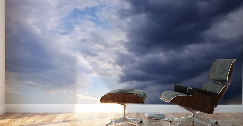 Storm Front Wall Murals