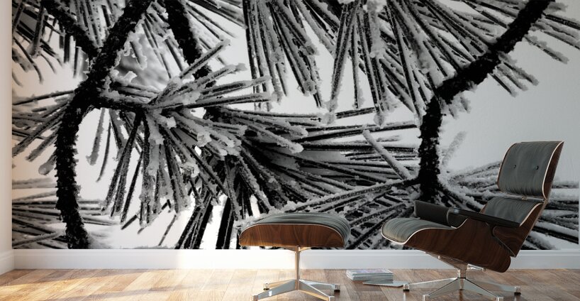 Snowy Conifer Wall Murals