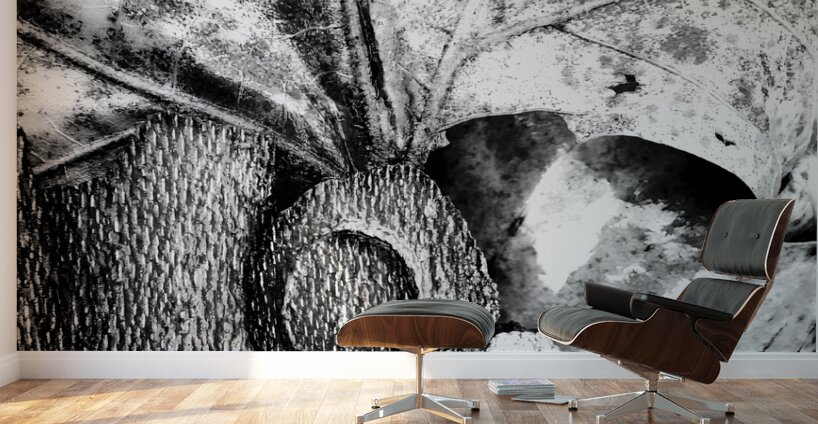 Botanical Shapes Wall Murals