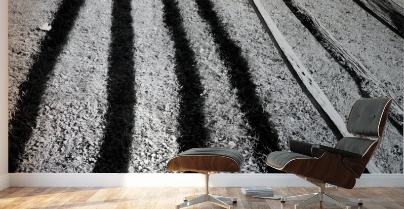 Split Rail Shadows Wall Murals