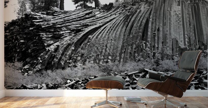 Devils Postpile National Monument Wall Murals