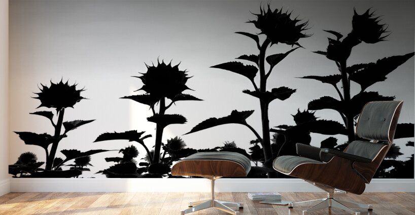 Sunflower Silhouette Wall Murals