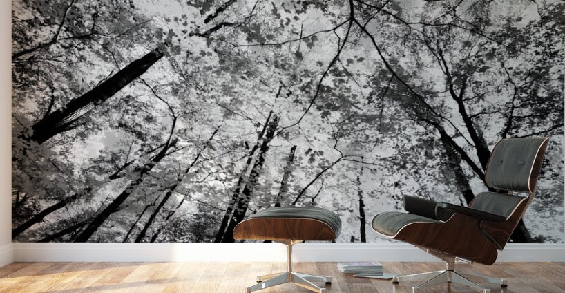 Forest Canopy Wall Murals