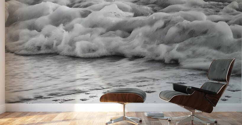 Surf Wall Murals
