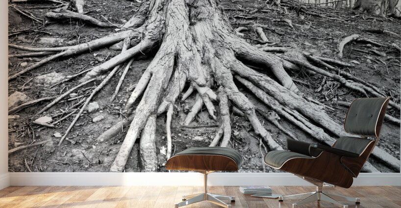 Root Flare Wall Murals
