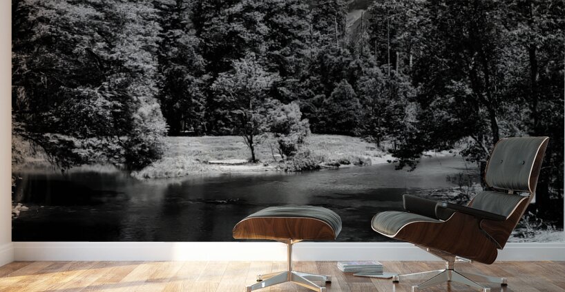 Classic Yosemite Wall Murals