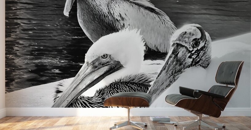 Stork Trio Wall Murals