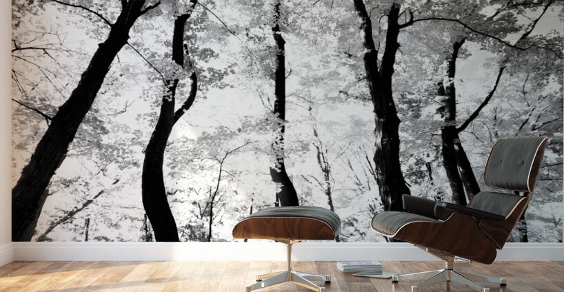 Pennsylvania Woods Wall Murals