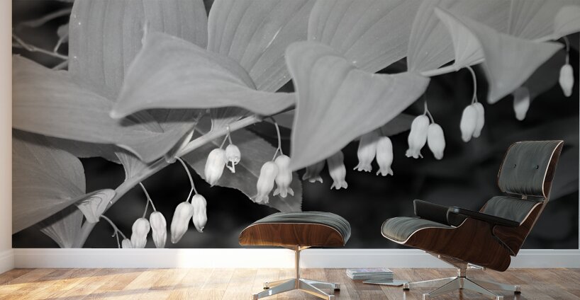 Solomon Seal Wall Murals