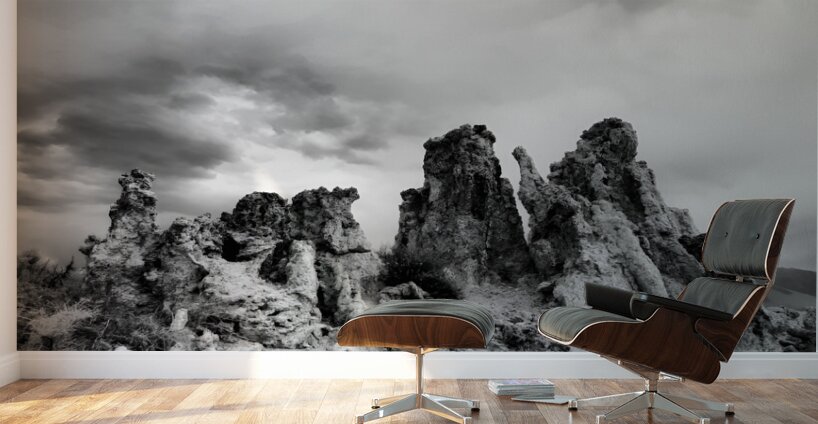 Tufa 1 Wall Murals