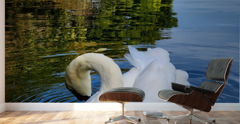 Swan 3 Wall Murals