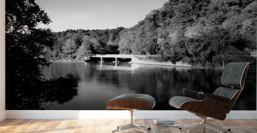 Start Of The Kiski River Wall Murals