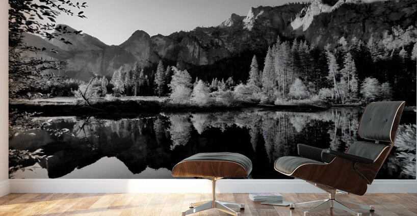 Yosemite Valley Wall Murals