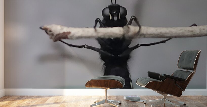 Butterfly Pullup Wall Murals