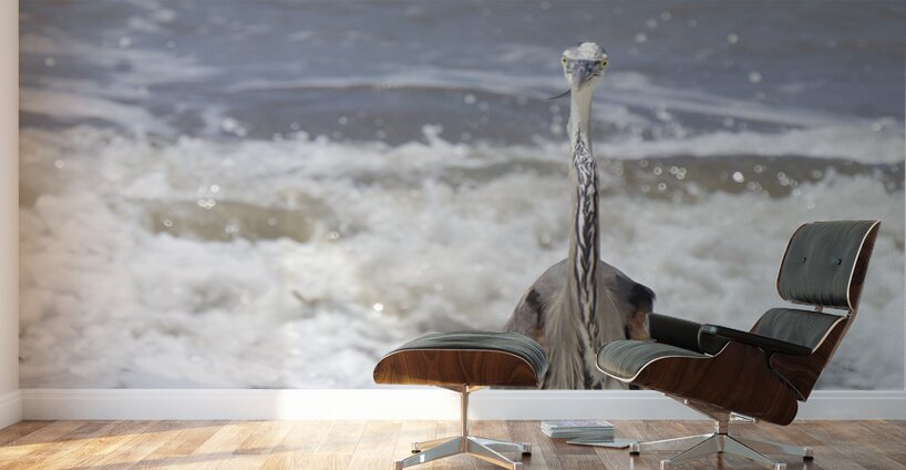 Sneaky Blue Heron Wall Murals