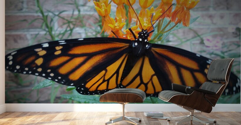 Monarch Female Wall Murals