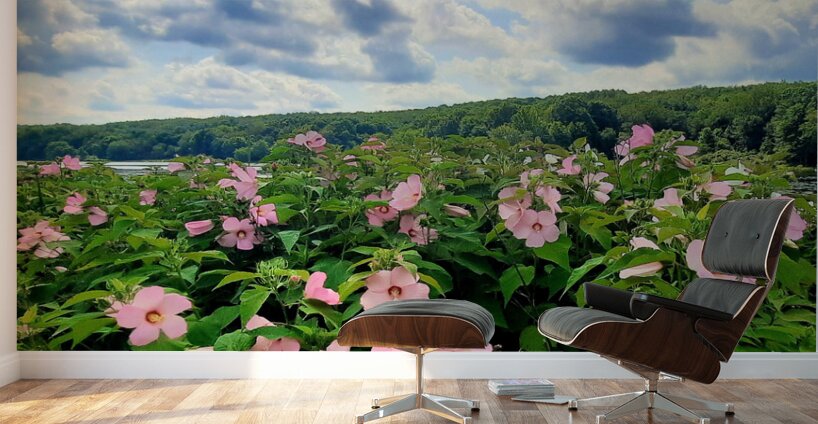 Swamp Mallow At Moraine State Park Wall Murals