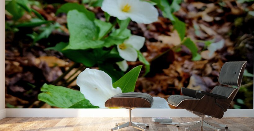 White Trillium Column Wall Murals