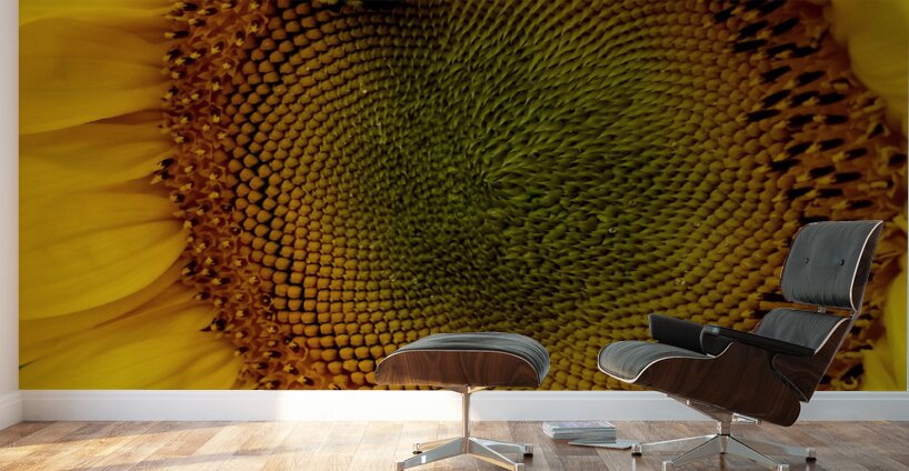 Sunflower Left Wall Murals