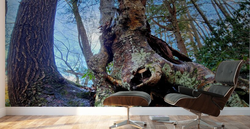 Muppet Tree 1 Wall Murals