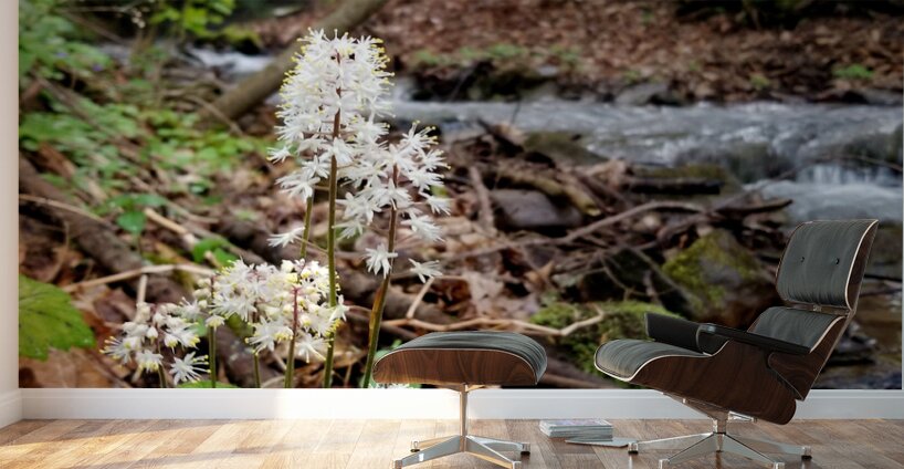Foamflower Streamside Wall Murals