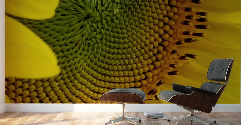Sunflower Right Wall Murals