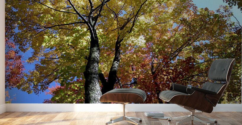 Golden Tree Horizontal Wall Murals