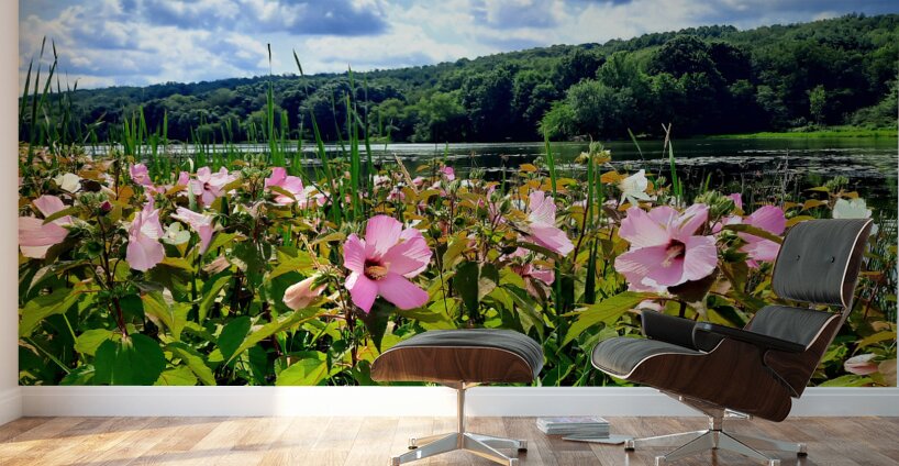 Swamp Mallow At Moraine State Park Wall Murals