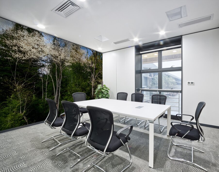 Gallitzin State Forest Wall Printing