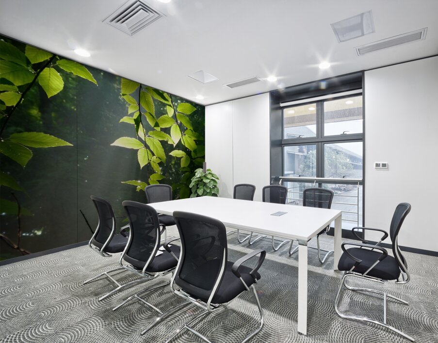 Beech Trees Wall Printing